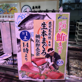 3月1日のおすすめ！本日14：00より『生本まぐろ柵取り即売会』