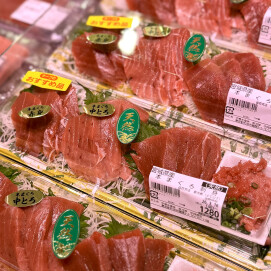 3月16日のおすすめ！宮城県産『天然本まぐろ』