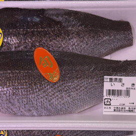 6月7日のおすすめ！三重県産『いさき切身』