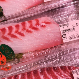 3月28日のおすすめ！創業祭開催中！！『天然まだい切身』『14時から生本まぐろ柵取即売会』