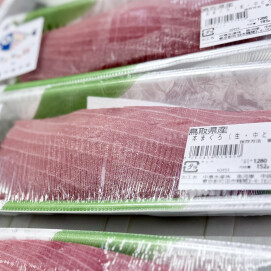 6月4日のおすすめ！鳥取県産『天然生本まぐろ刺身用』