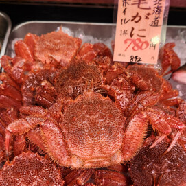 4月23日のおすすめ 北海道産『毛がに』