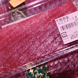 11月18日のおすすめ！『天然めばちまぐろ刺身用（中とろ）』