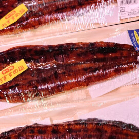 6月7日のおすすめ!🐟さかなの日 最終日🐟『うなぎ蒲焼』(長焼)