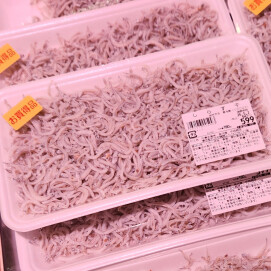 4月30日のおすすめ！『しらす干』