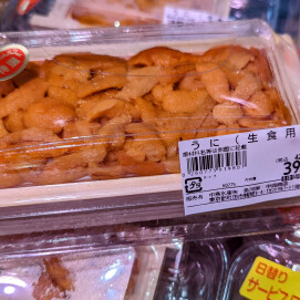 8月13日のおすすめ！大量入荷！『生うに』