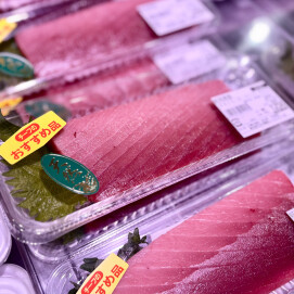 5月27日のおすすめ！新潟県産　天然『生本まぐろ刺身用』