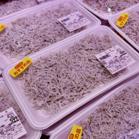 2月4日のおすすめ!兵庫県産『しらす干し』