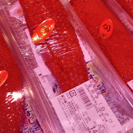 9月27日のおすすめ！北海道産『生筋子』