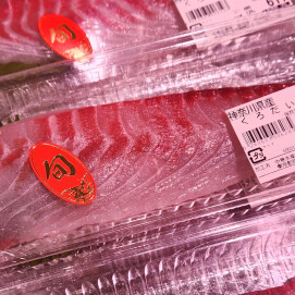 3月23日のおすすめ！神奈川県産『天然黒鯛』