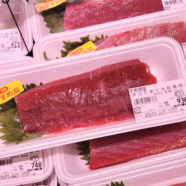 9月4日のおすすめ！🐟毎月3~7日はさかなの日🐟