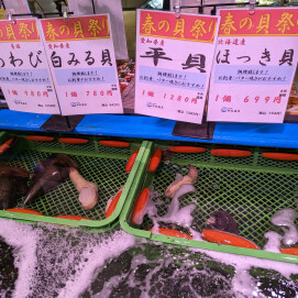 『生け簀の貝特集』