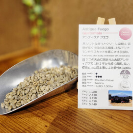 新入荷!【アンティグアフエゴ/グァテマラ】古都アンティグアで1842年から続く農園で栽培されたコーヒー