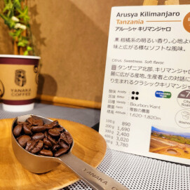 今週のおすすめ【アルーシャキリマンジャロ/タンザニア】スタンプカードポイント2倍商品