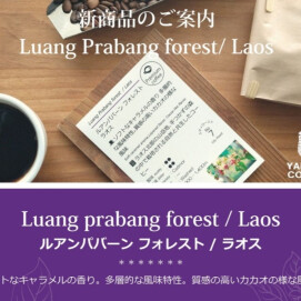  ☆新商品！ルアンパバーン フォレスト /ラオス