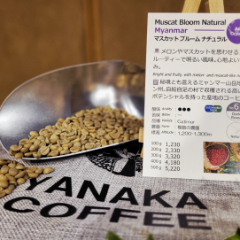 新入荷！【マスカット ブルーム ナチュラル/ミャンマー】ミャンマー秘境の地チン州で栽培されたナチュラル製法のコーヒー