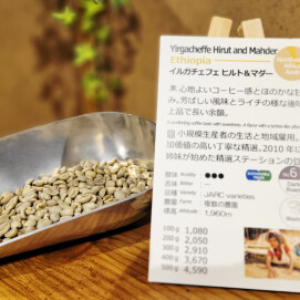 新入荷!【イルガチェフェ ヒルト&マダー/エチオピア】コーヒー生産20年以上の経験をもつ二人の姉妹が手掛けたコーヒー