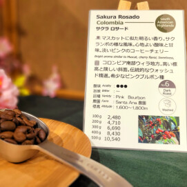 期間限定です！【サクラロサード/ コロンビア】希少なピンクブルボン種です！