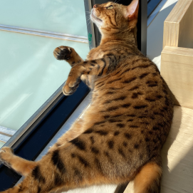 日向ぼっこ☀️