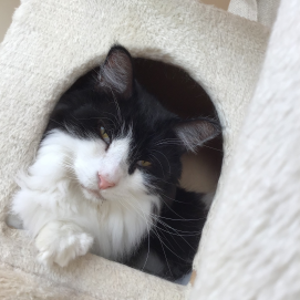 ギャップ萌えノリスケ君☺️💕