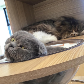 最年少の寝姿😴