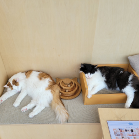 似たもの同士🐾