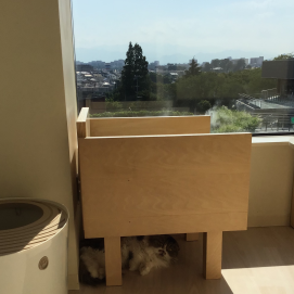 ひょこ😺