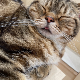 特徴的な寝顔😴