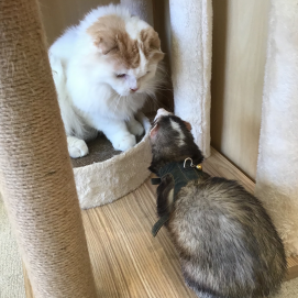 ポニちゃん、マギーちゃん✨