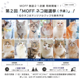ネコ総選挙