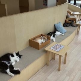 みんなそろって💤