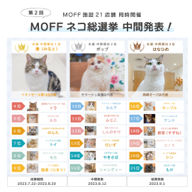 第２回「MOFF ネコ総選挙（本選）」中間発表✨