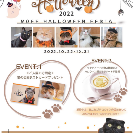 【3F 猫カフェ】ハロウィンイベント開催🎃