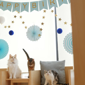 9月のお誕生日会🎉