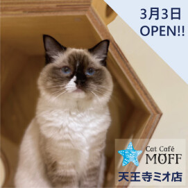 【3F ネコカフェ】新店舗情報✨