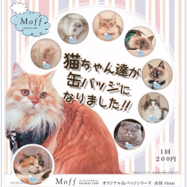 【3F 猫カフェ】缶バッジ第二弾！登場✨