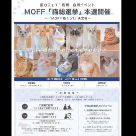 【3F 猫カフェ】猫総選挙🐈