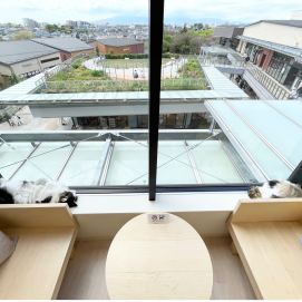 窓際の2匹🐈‍⬛✨