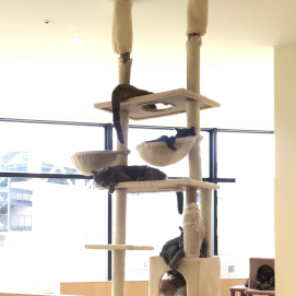のんびり