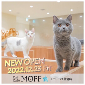 【3F 猫カフェ】新店舗情報✨