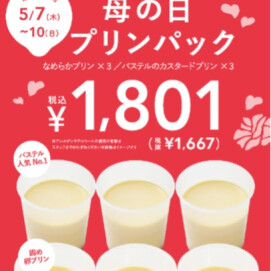 母の日におすすめのプリンパック！