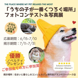 ｜6/15(月)～7/31(金)｜「うちの子が一番くつろぐ場所」ペットのフォトコンテスト＆写真展