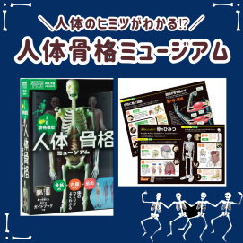 【🌻夏休みの自由研究におすすめ🌻】学研『人体骨格ミュージアム』💀