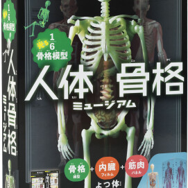 【ワークショップ】学研『人体骨格ミュージアム』