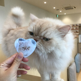 SP缶バッチリニューアル！