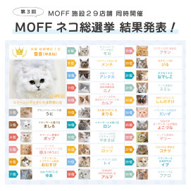 第3回「MOFF ネコ総選挙（本選）」結果発表✨