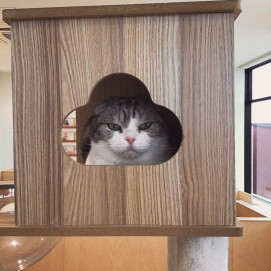 ここが居心地のいい場所…にゃ🐱