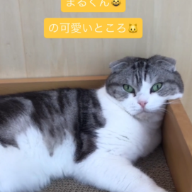 まるくんのかわいいところ😽♡