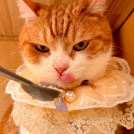 お誕生日会の様子🎂