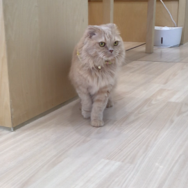 目が合ったら👀